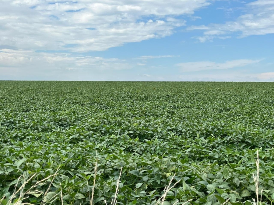 6 Bedroom Property for Sale in Ladybrand Rural Free State